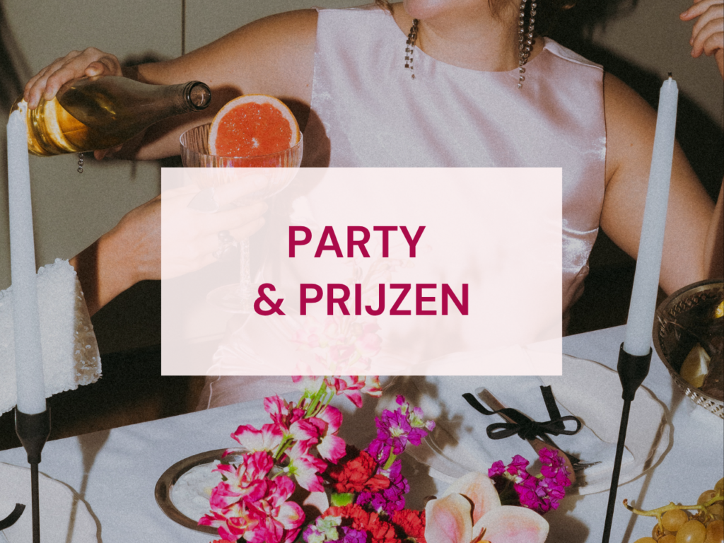 Bundel 1: Party & Prijzen